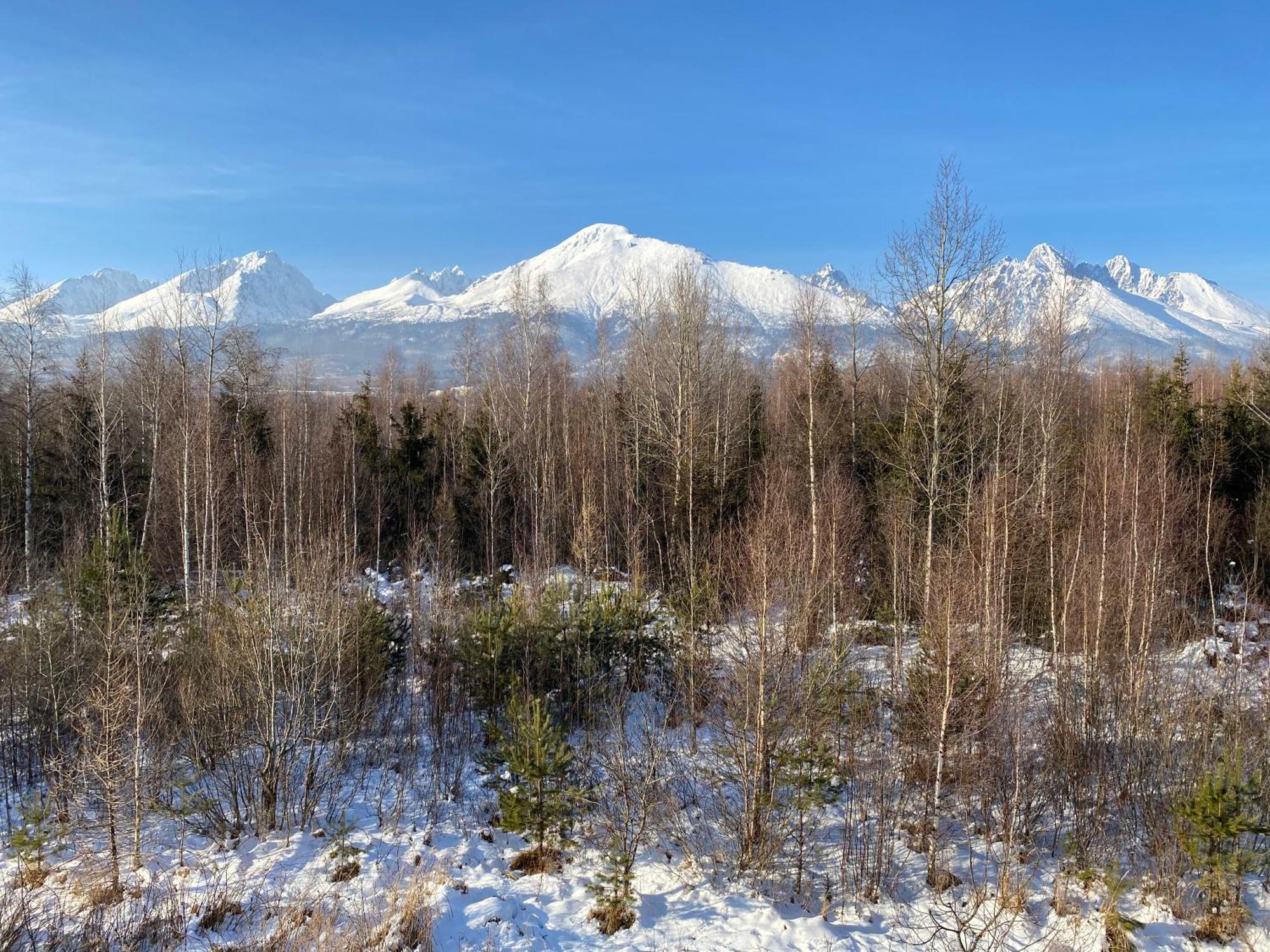 Apartman S Nadhernym Vyhladom Na Tatry Velky Slavkov Exterior photo